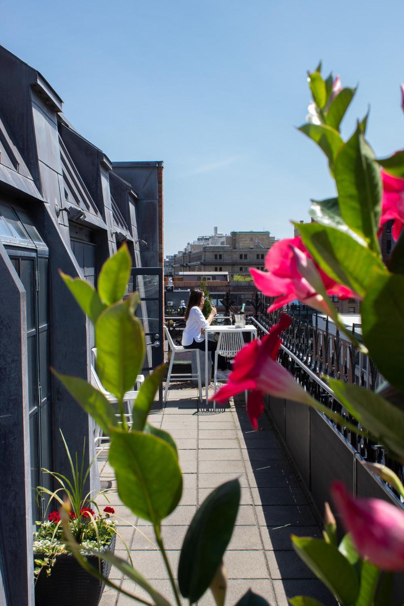 Premium Suite Terrace