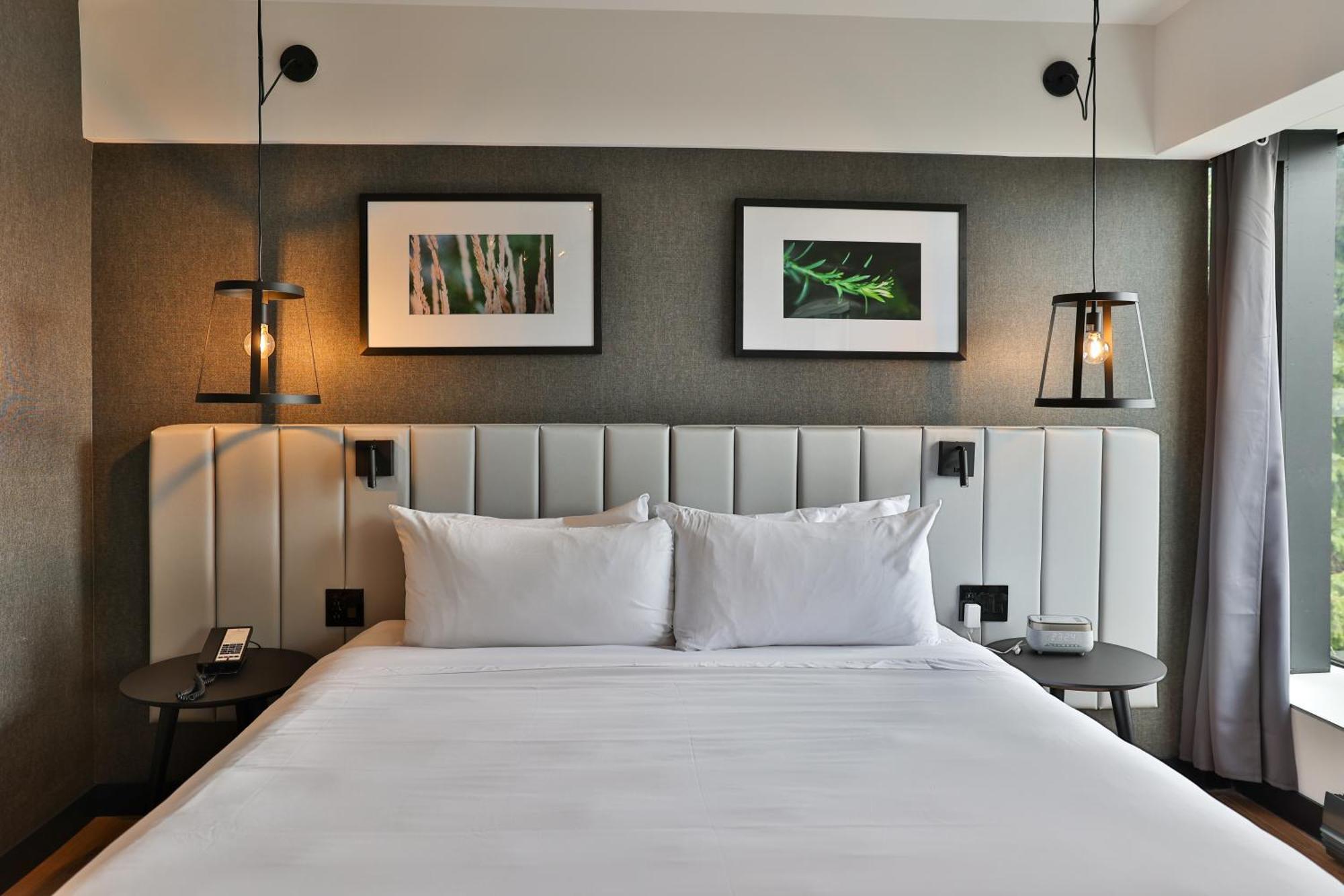 Junior Suite1 King Bed 1 Sofabed