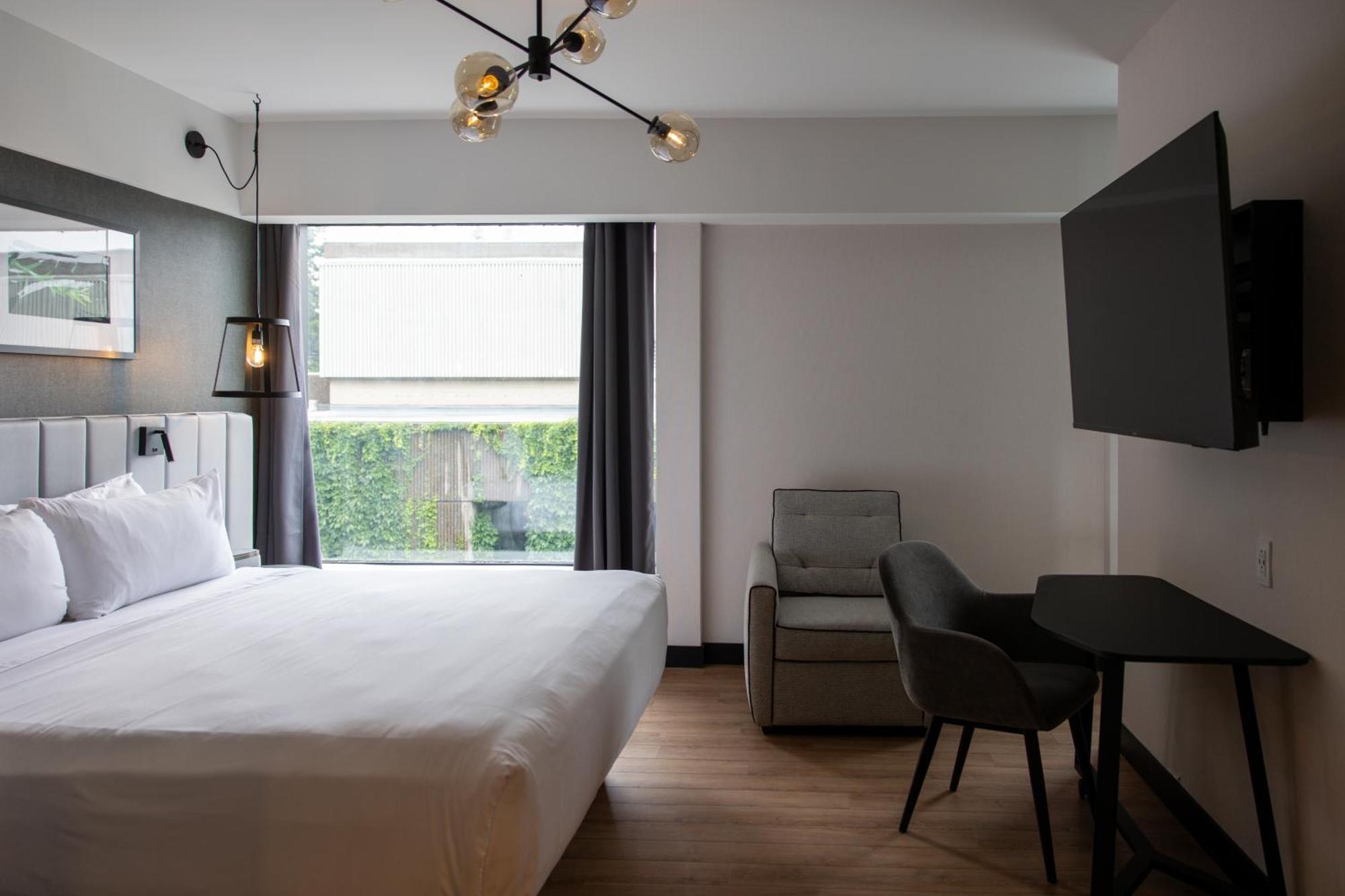 Junior Suite1 King Bed 1 Sofabed